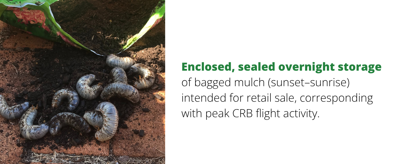 larva in bagged potting soil