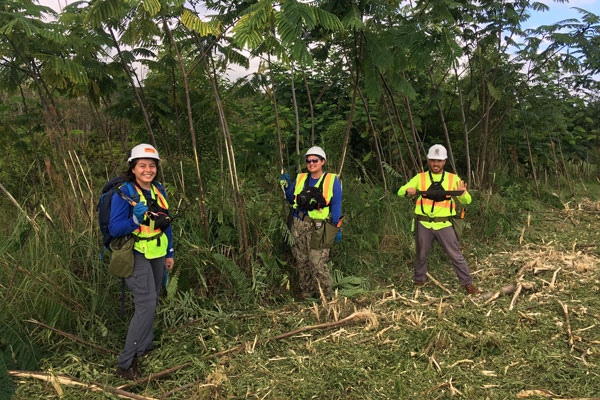 Albizia Program BIISC