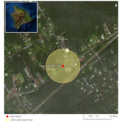 Giant Burmese Honeysuckle map