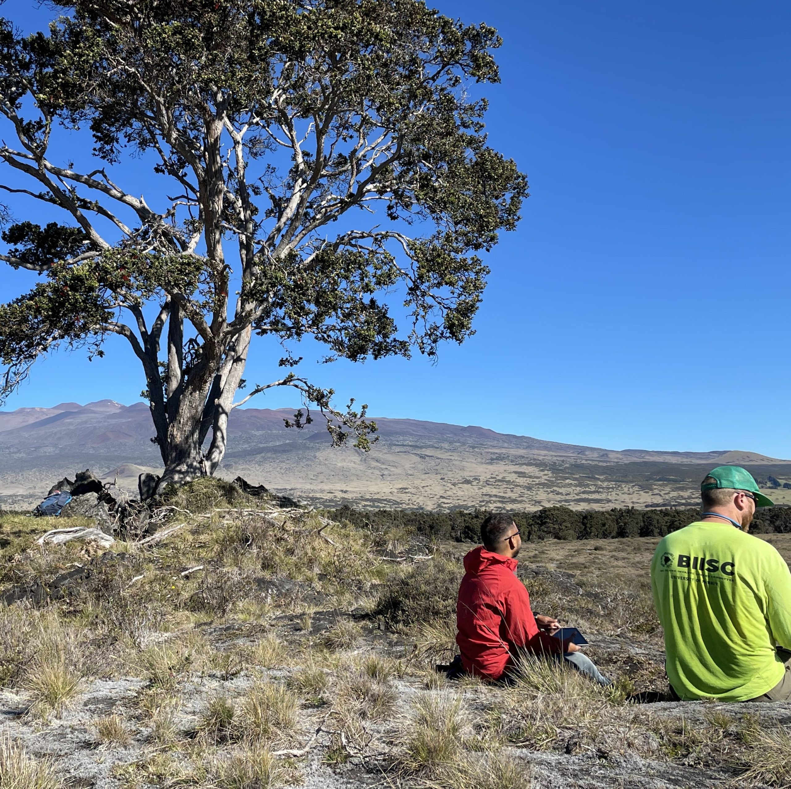 BIISC is Hiring! – Field Crew Leader