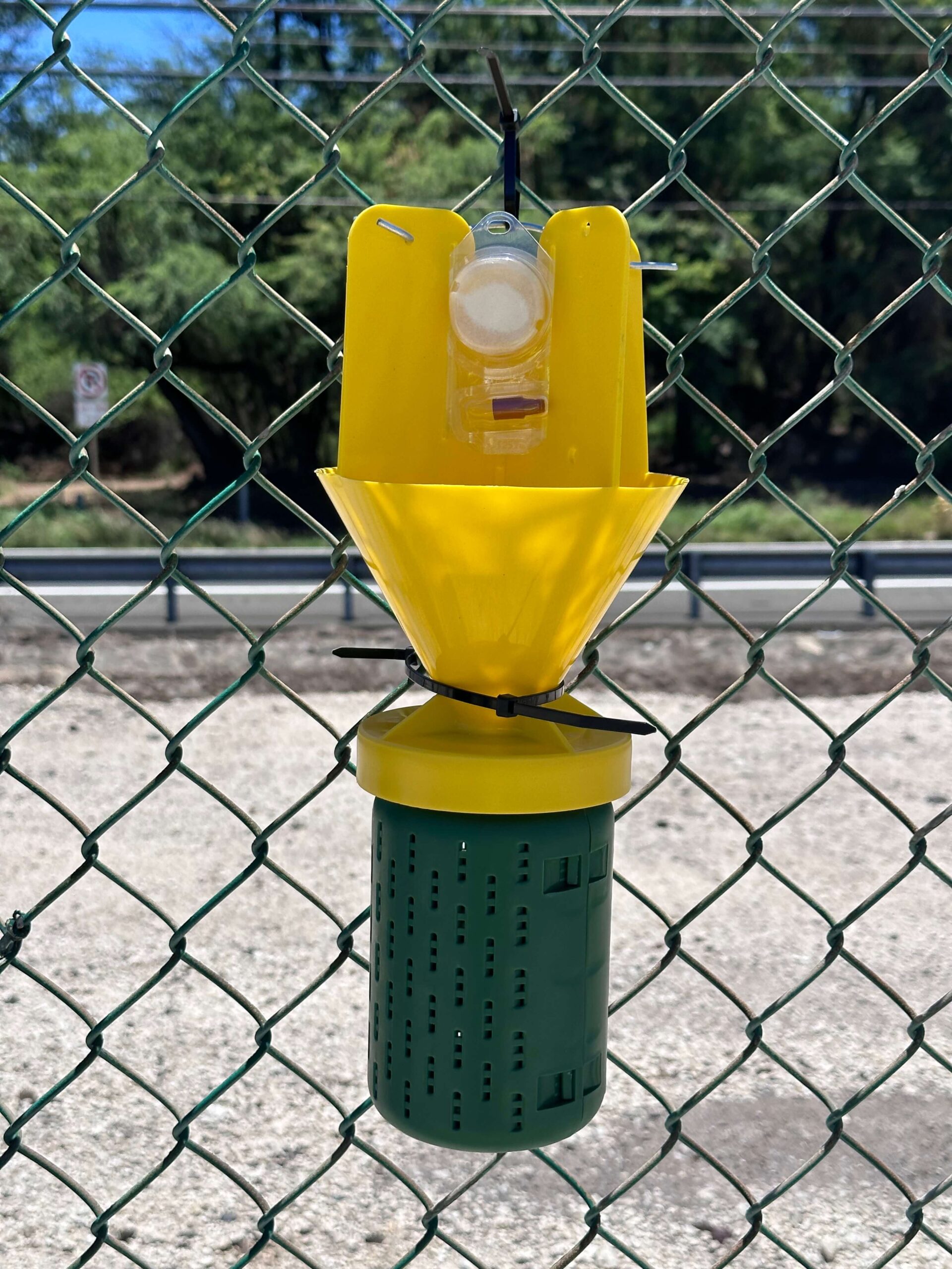 Japanese beekte trap hung on a fence