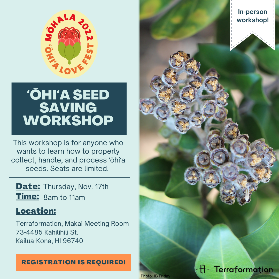 seed saving workshop graphic