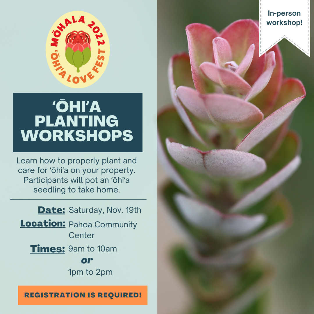 ohia planting workshops flyer
