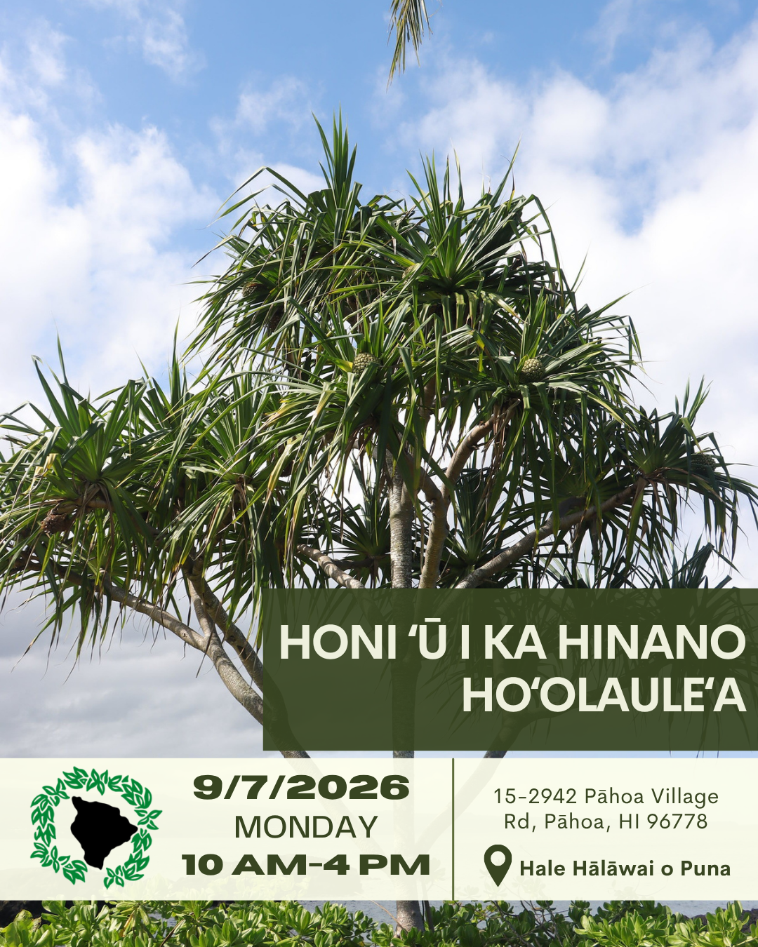 hala tree with event details