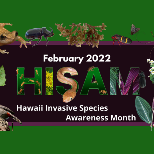 It’s Hawaiʻi Invasive Species Awareness Month!